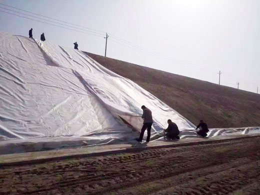 山东联诺工程材料有限公司,土工膜厂家